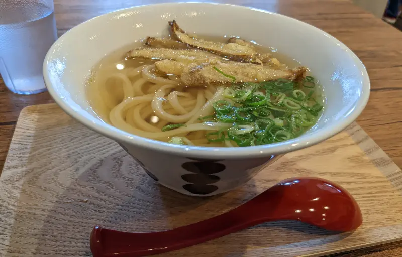 うどんスタンドたなかのごぼう天うどん