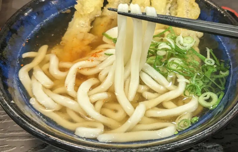 資さんうどんのごぼう天うどん