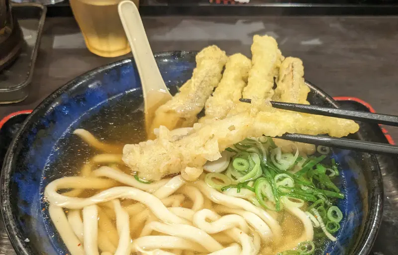 資さんうどんのごぼう天うどん