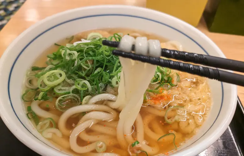 ウエストのごぼう天うどん