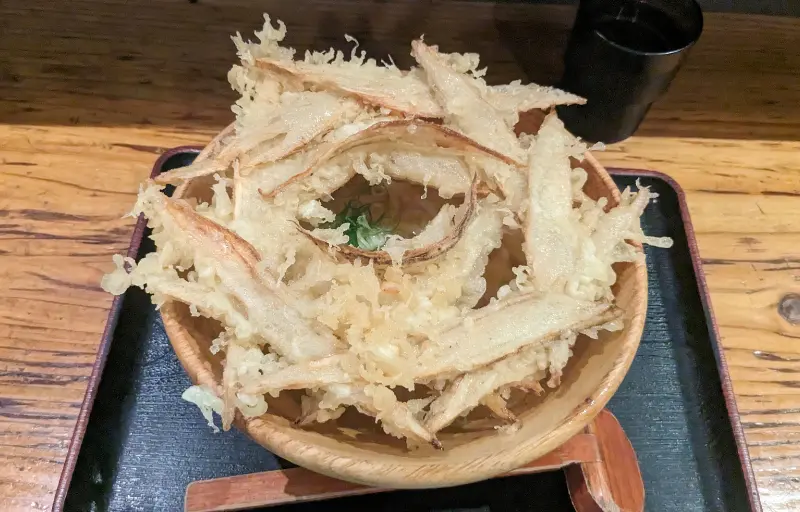 大地のうどんのごぼう天うどん