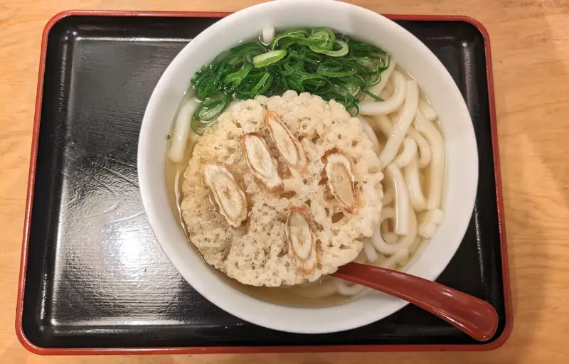 因幡うどんのごぼう天うどん