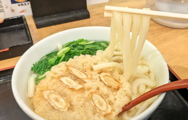 因幡うどんのごぼう天うどん