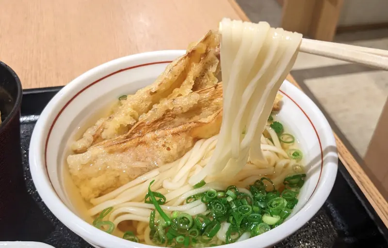 能古うどんのごぼう天うどん