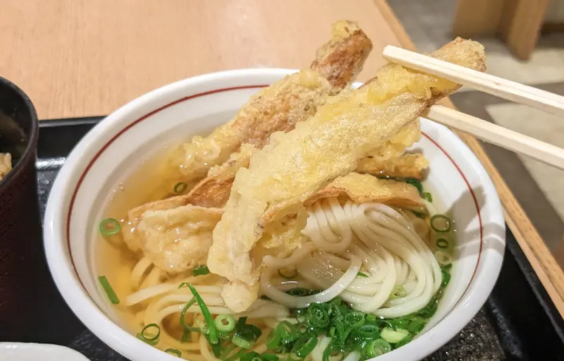 能古うどんのごぼう天うどん